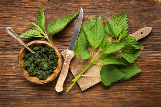 Benefits of Nettle - Capsuline
