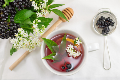 Elderberry: Nature’s Healing Gift