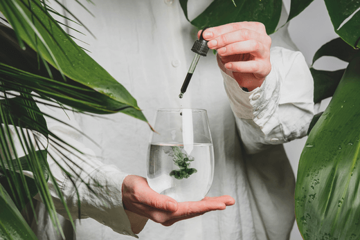 Introducing Chlorophyll into your Diet - Capsuline