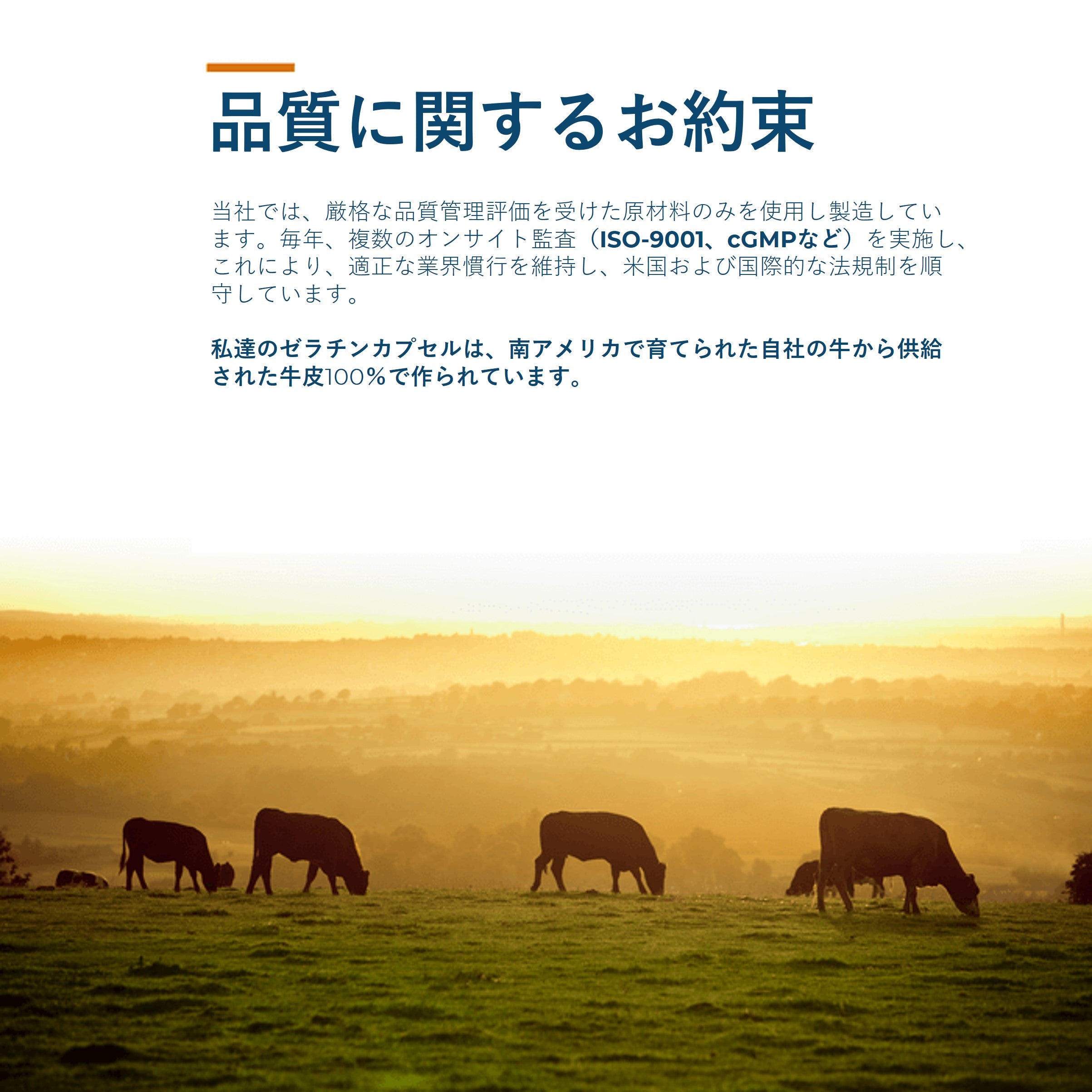 Clear Size 000 Empty Gelatin Capsules by Capsuline - 500 Count - 500